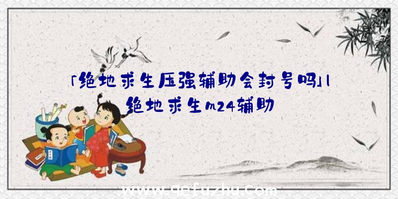 「绝地求生压强辅助会封号吗」|绝地求生m24辅助